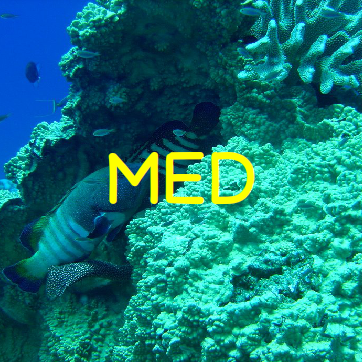 @micronesia-reef-monitoring