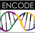 @ENCODE-DCC