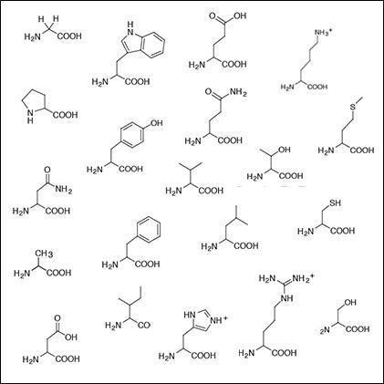 @computational-metabolomics