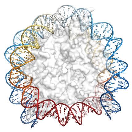 @buenrostrolab