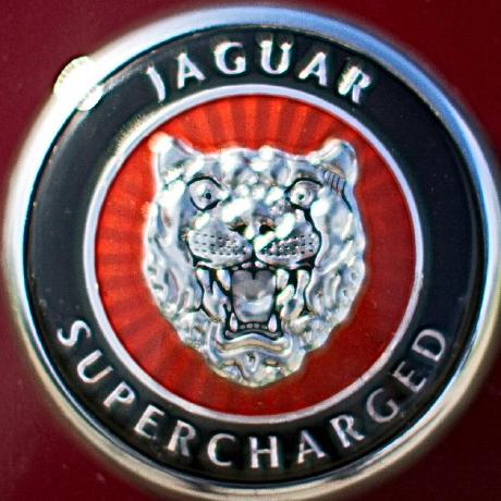 jaguarman