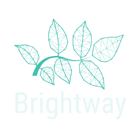 @brightway-lca