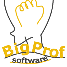 @bigprof-software