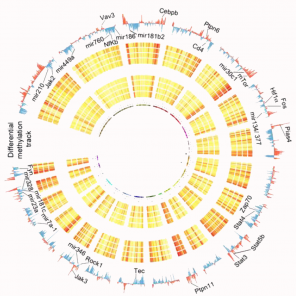 @TranslationalBioinformaticsUnit