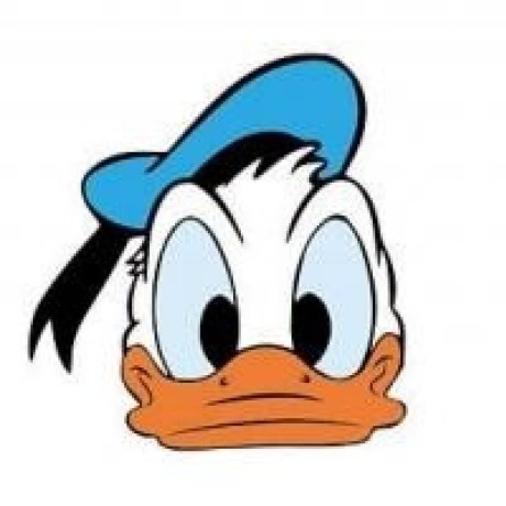 @DonaldDuck313