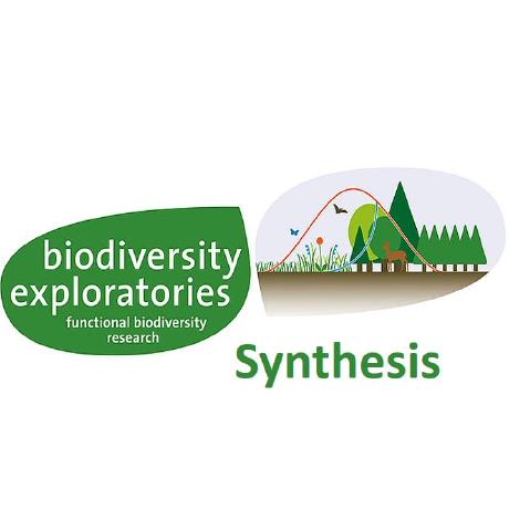 @biodiversity-exploratories-synthesis