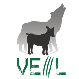 @Veil-Framework