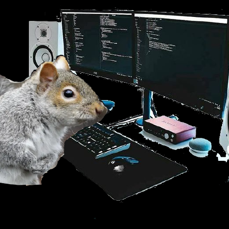 @Squirrelcoding