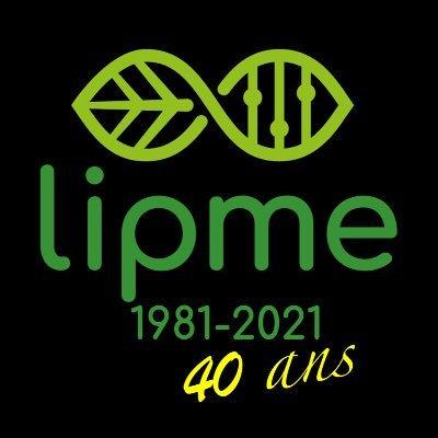 @lipme