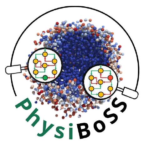 PhysiBoSS