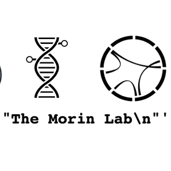 @morinlab