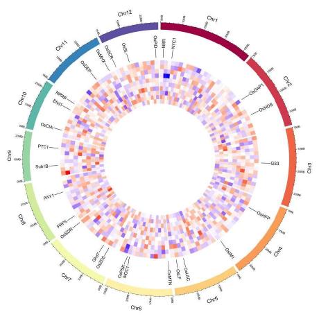 @YaoLab-Bioinfo