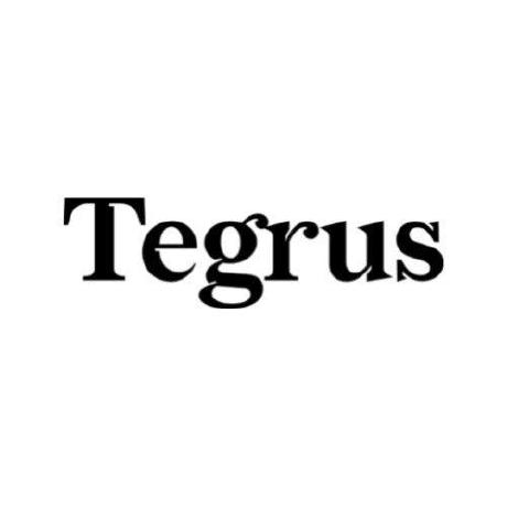 @tegrus-br