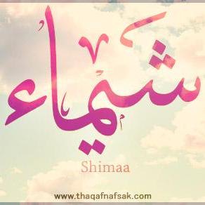 @shimaamarzouk