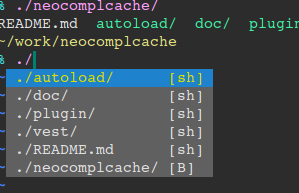 Completion with vimshell(http://github.com/Shougo/vimshell).