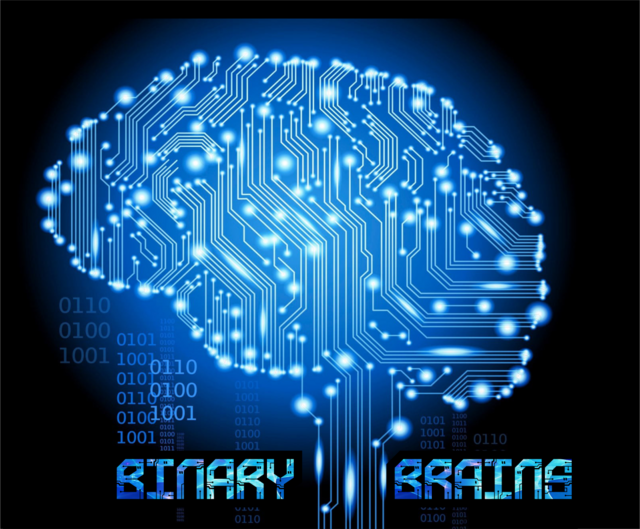 Binari-Brains-Logo1.png