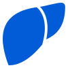 Liver Icon