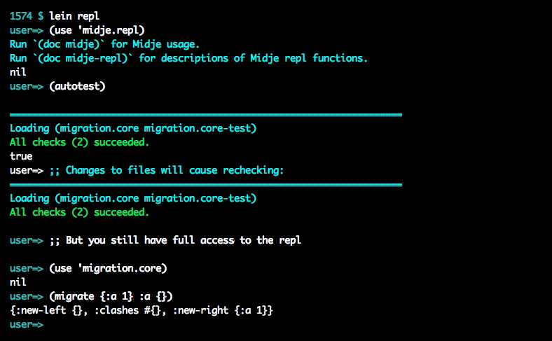 Lein midje output