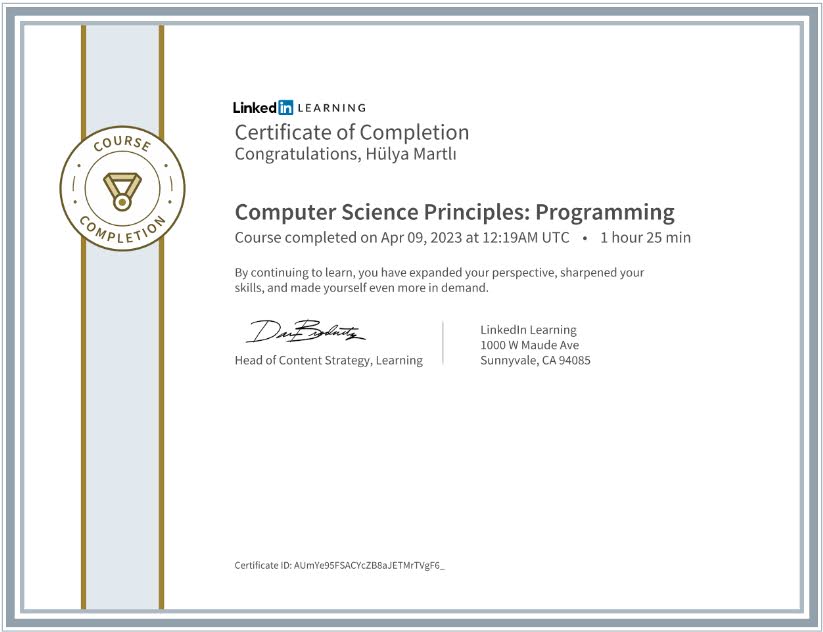 CS Principles: Programming