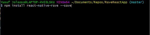 npm-install-rave image