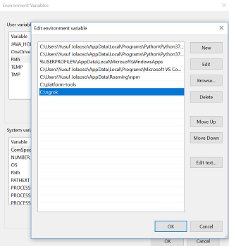 Adding ngrok to the environment variable