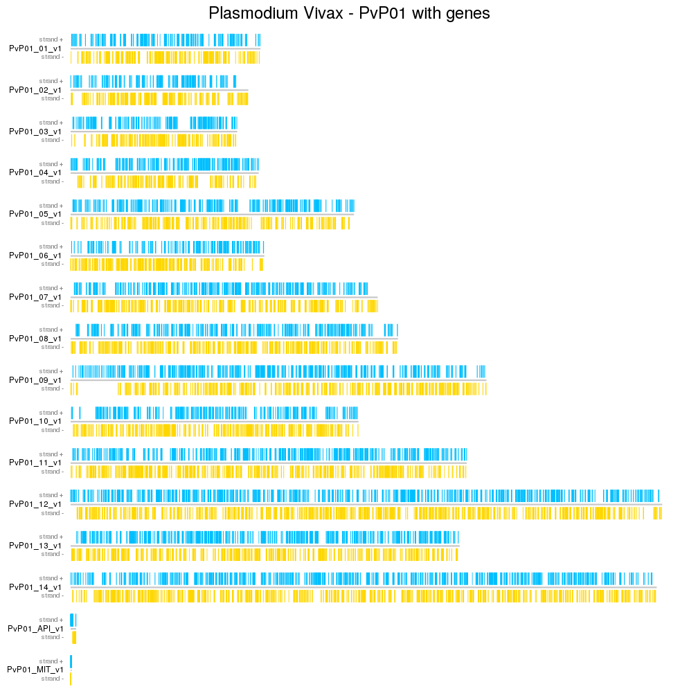 A karyoploteR example plotting the genes from Plasmodium Vivax PvP01 genome version