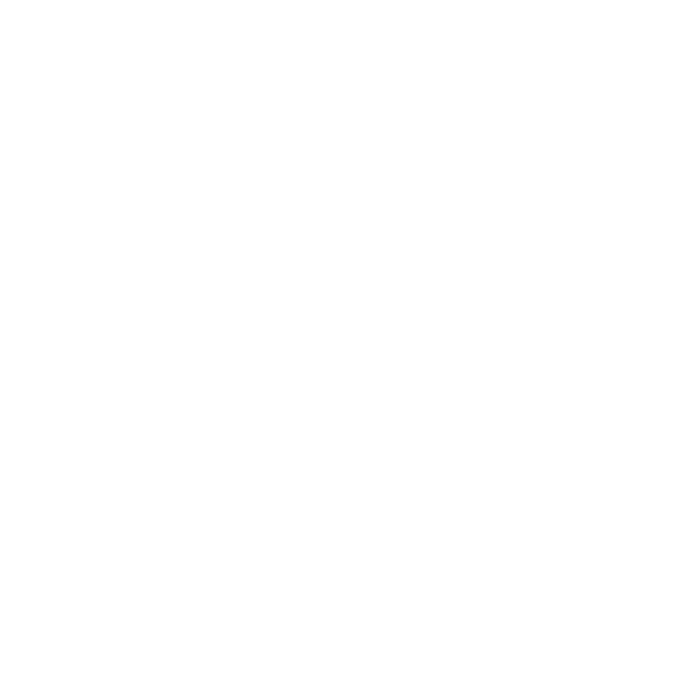 OWASP Logo