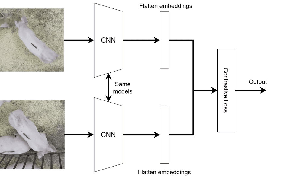 Siamese network architecture