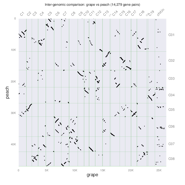 Grape-peach-synteny