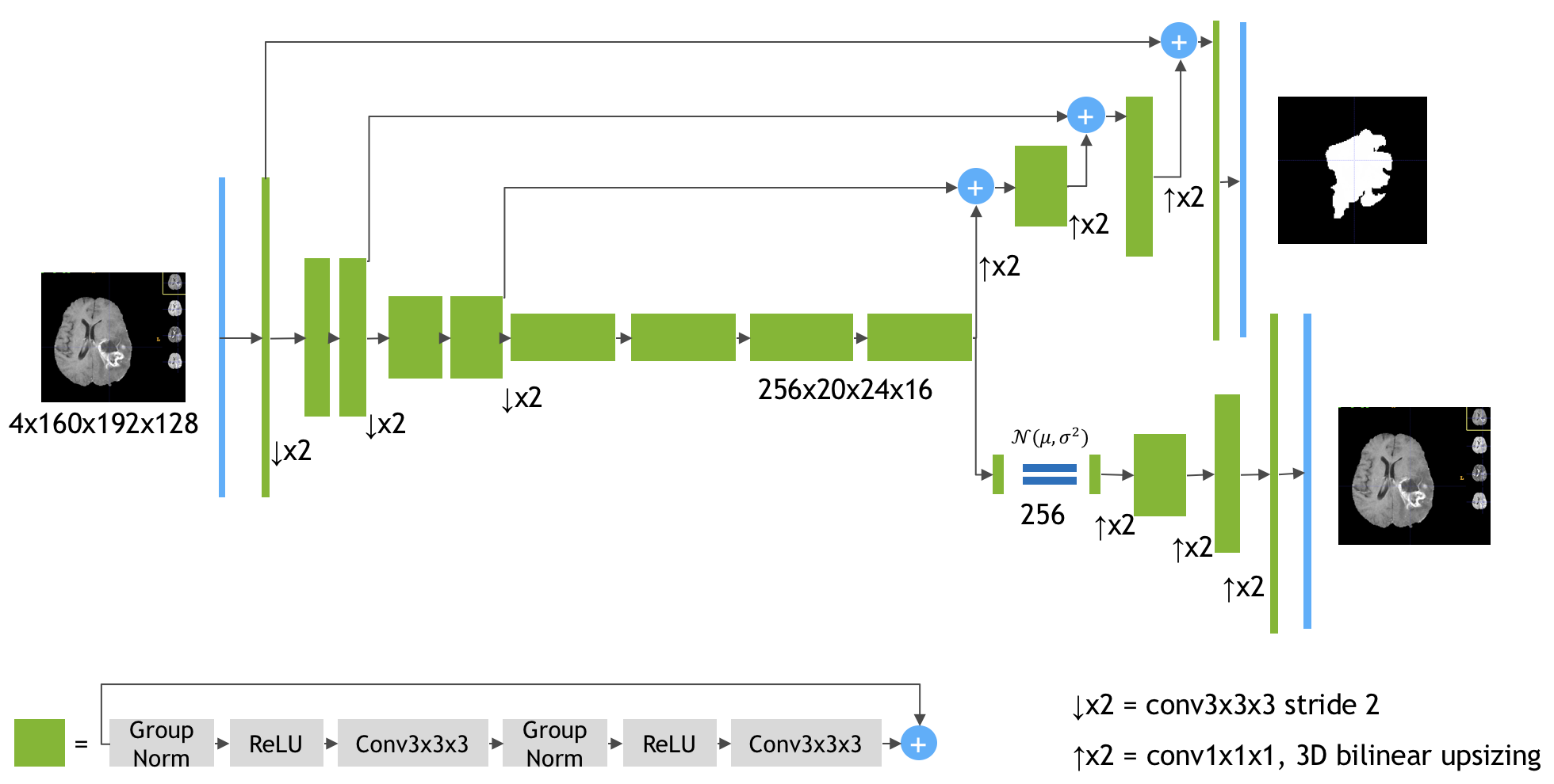 The model architecture