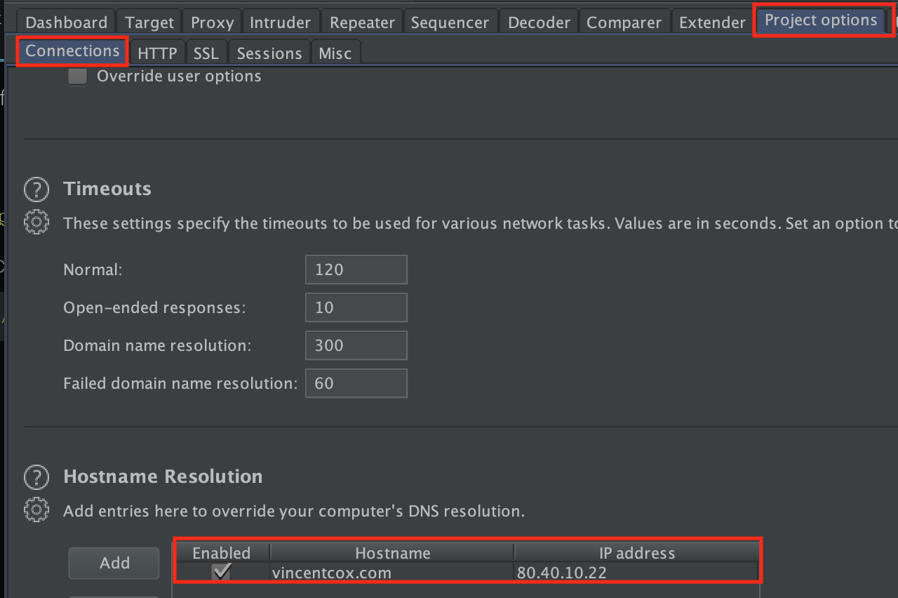 Burp Suite Settings