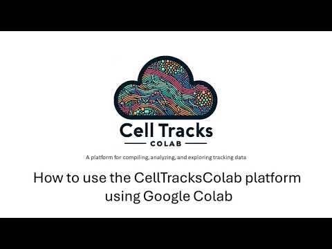 CellTracksColab in Google Drive