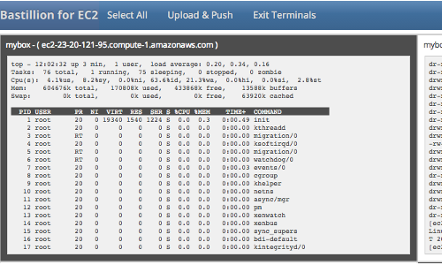 Terminals