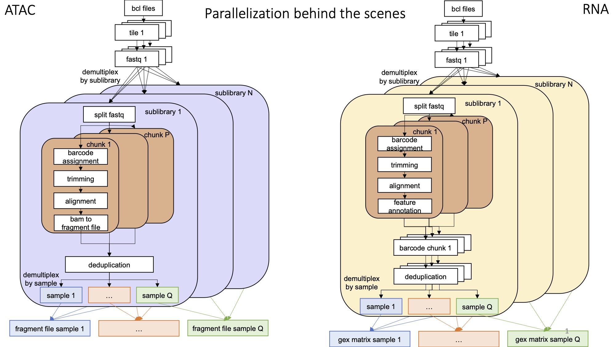 shareseq-pipeline.jpg