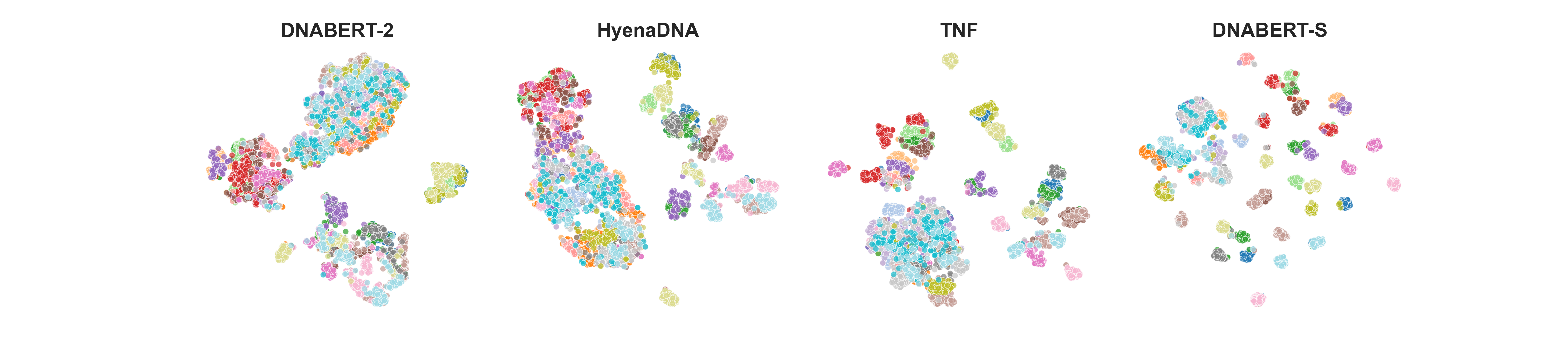 embedding_visualization.png