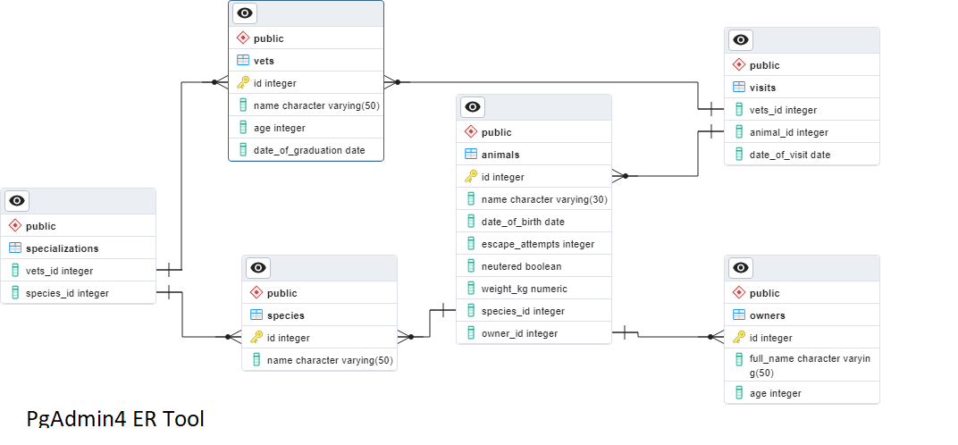 vets-schema-diagram-using-ER Tools.png