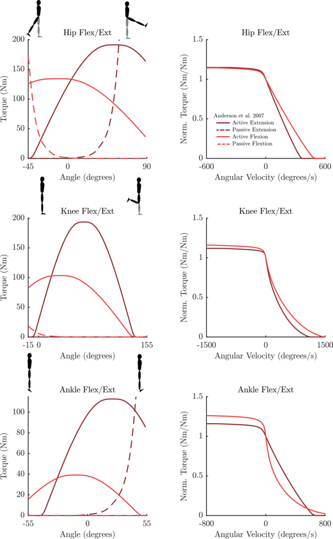 fig_MuscleAddon_Anderson2007AllPositiveSigns.png