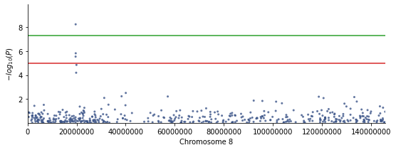 manhattan_plot_chr8.png