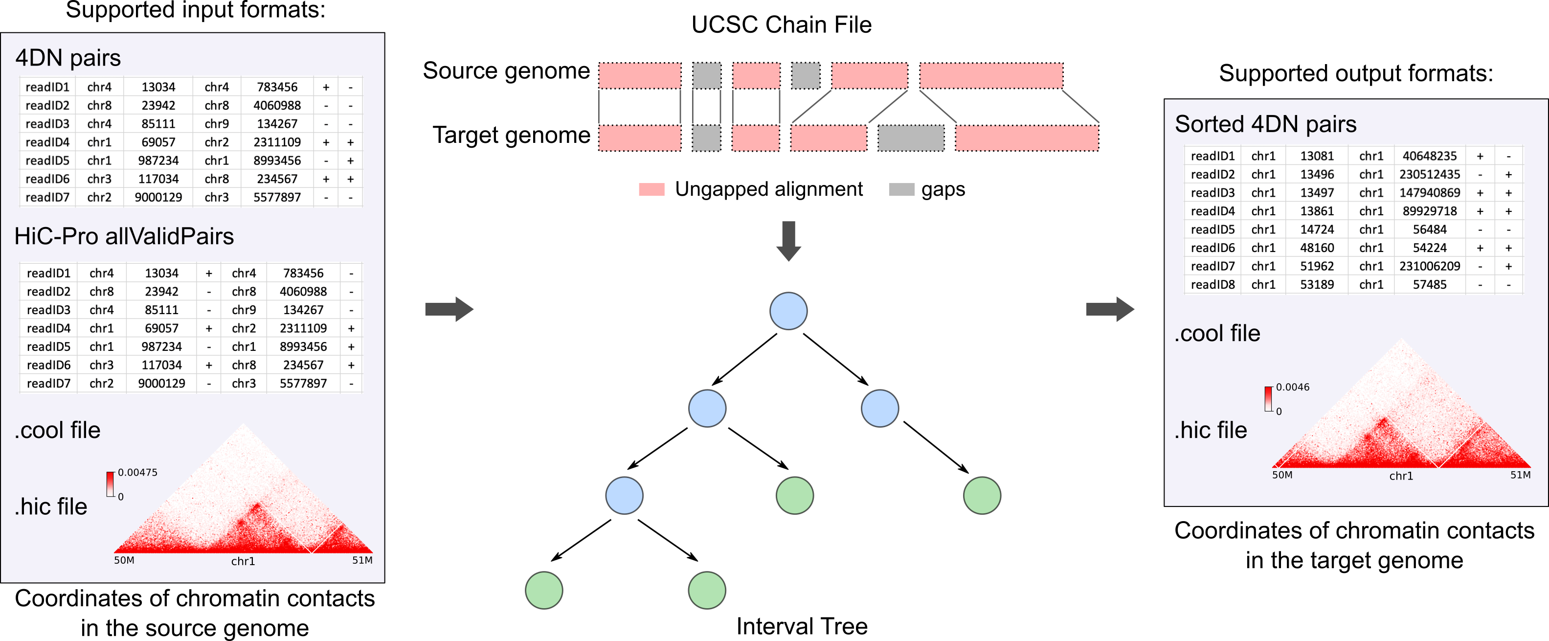 fig1.svg.png