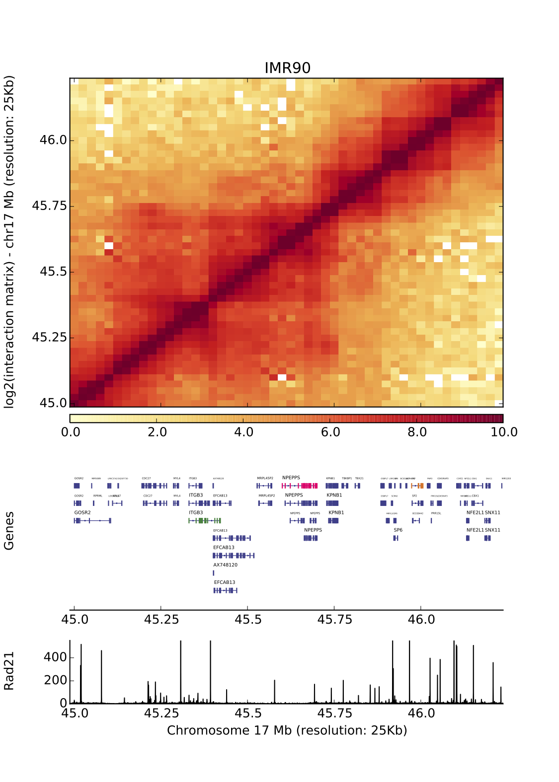 genes-chr17.ofBins(1800-1850).25K.jpeg