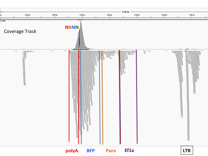 perturbseq_readdistribution.png