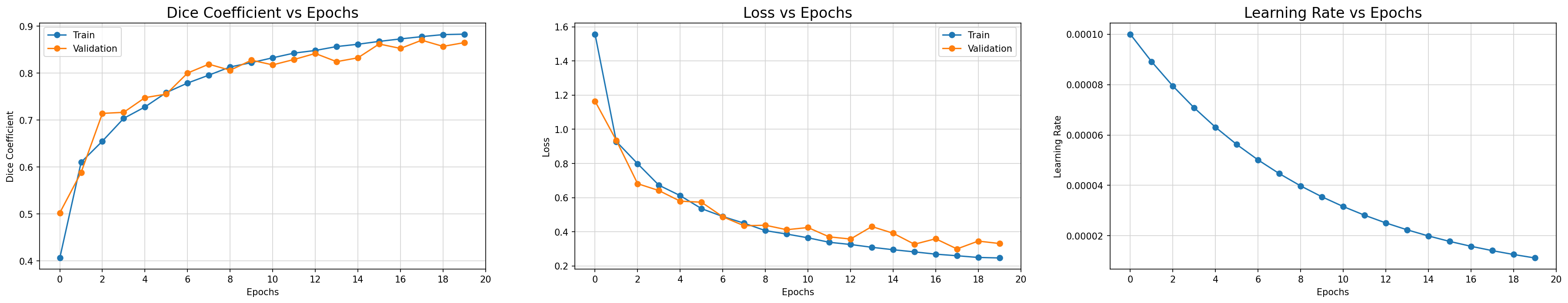 model_metrics_plot.png