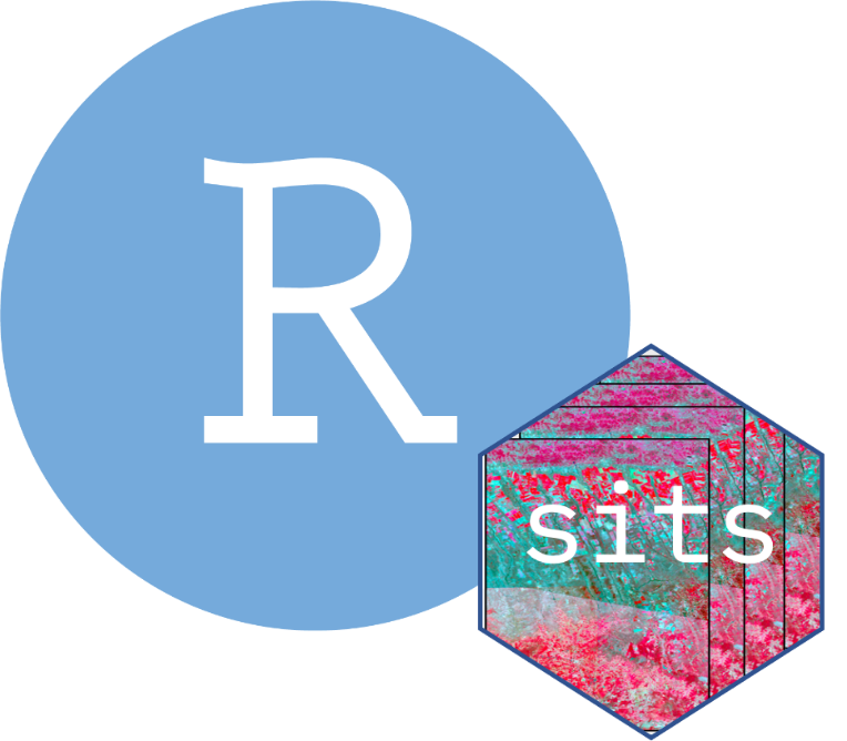 sits-docker-env-rstudio.png