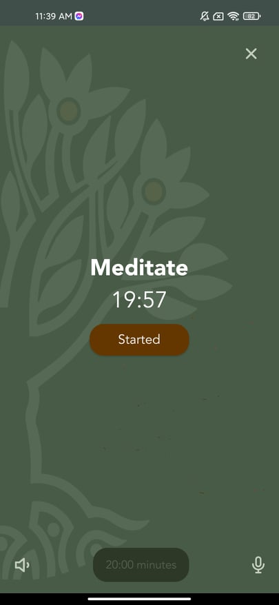 7.meditationStarted.jpg