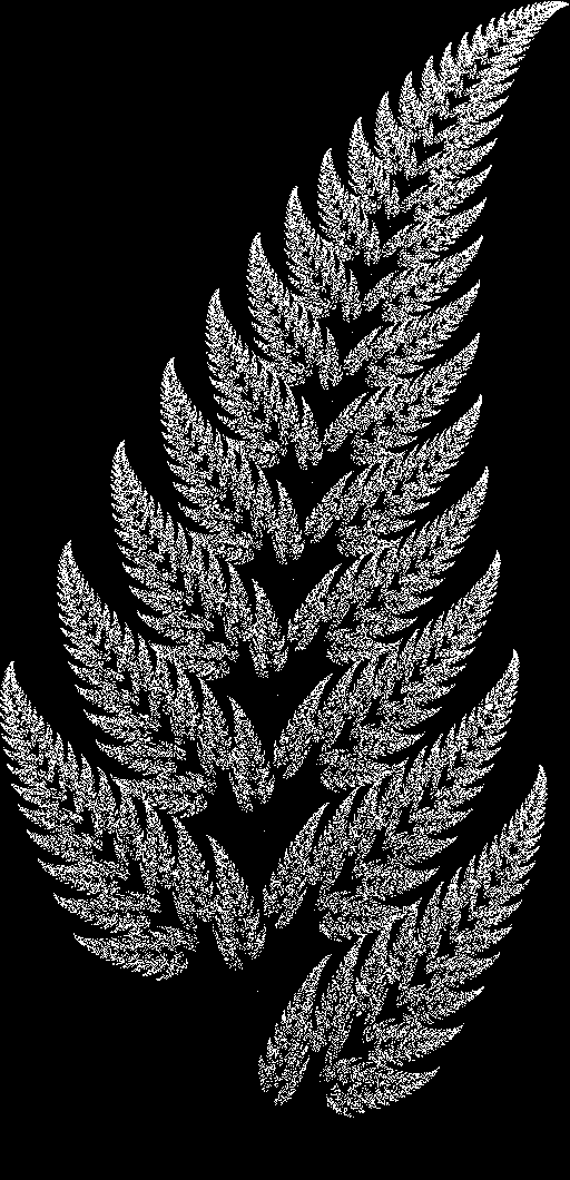 Barnsley Fern fractal.png