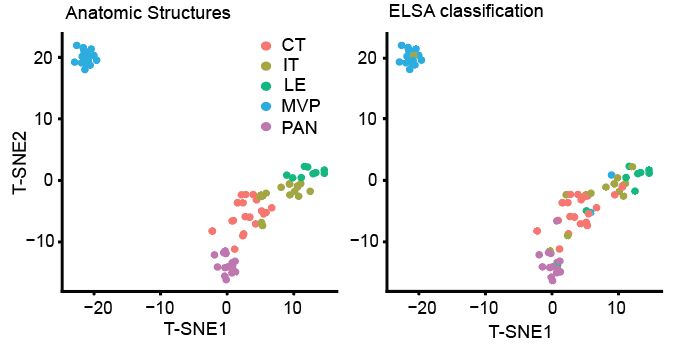 IVY_classification_tSNE.png