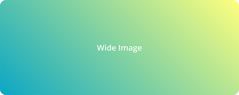 Figure 2: An image too wide to fit within page at full size. Loaded from a specific (hashed) version of the image on GitHub.