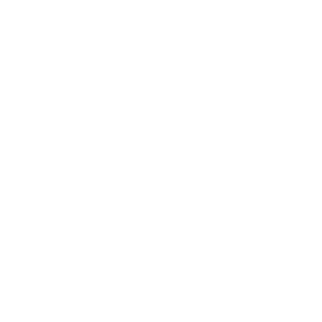 shipwright-icon-white.png