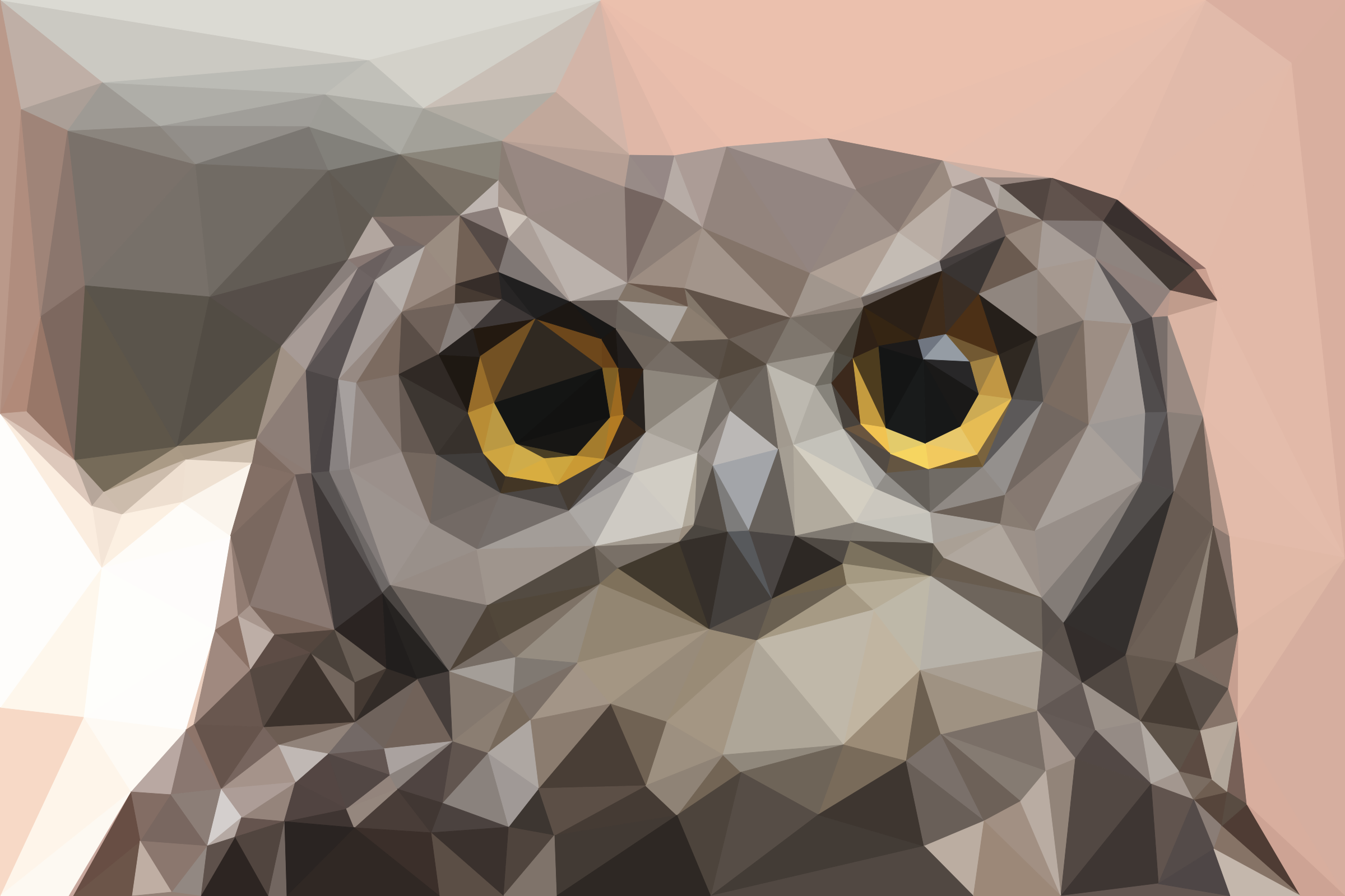 owl.png