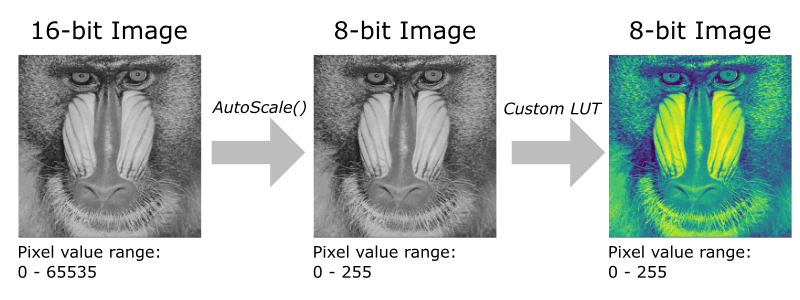 autoscale-viridis.png